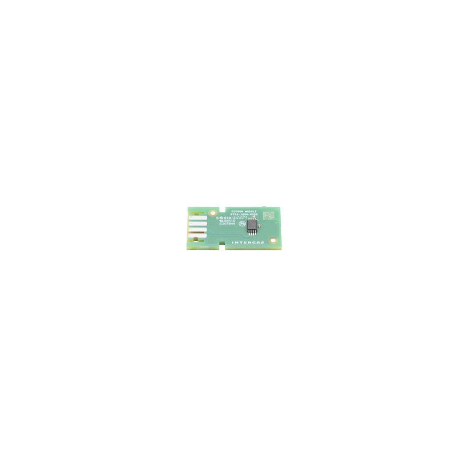 Vervangingsonderdeel Eprom Intergas