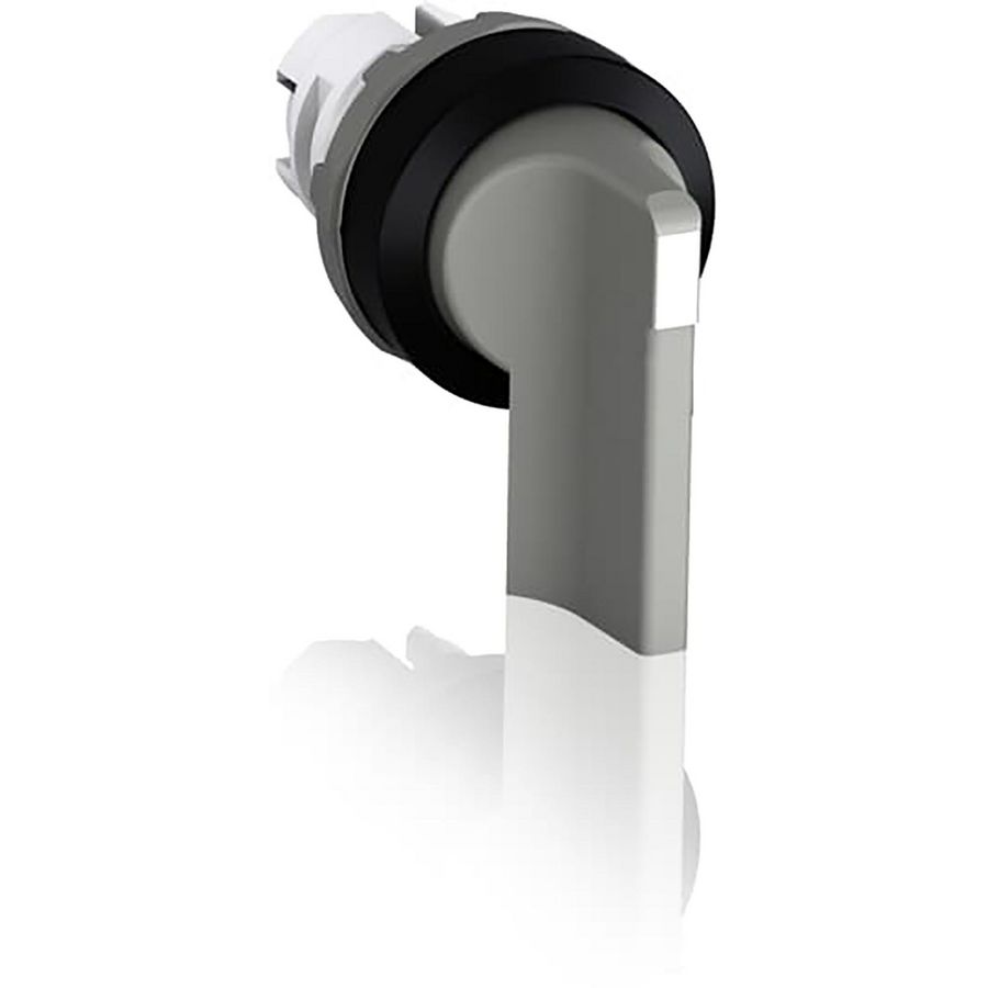 Keuzeschakelaar lange hendel 2 standen grijs 1SFA611203R1007