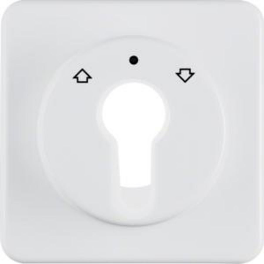 Afdekplaat jaloezie-sleutelschakelaar/impulsdrukker IP44 inbouw polarwit