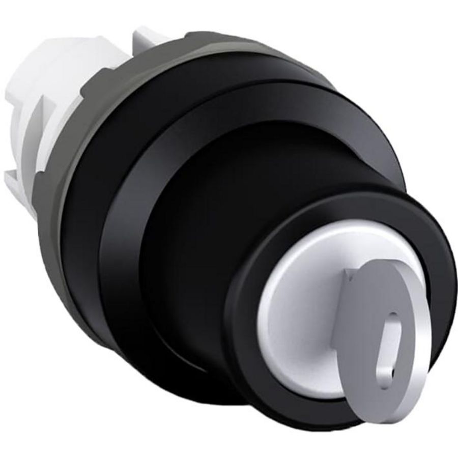 Sleutel bediende keuzeschakelaar 2 posities