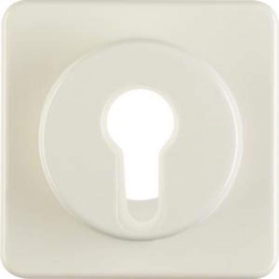Afdek. v sleutelSchakelaar/-imp.dr. IP44 inbouw wit