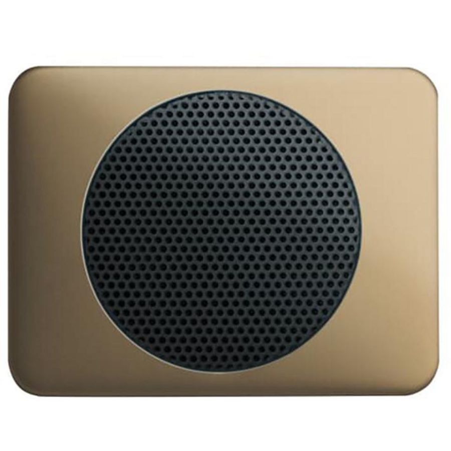 Centraalplaat voor radioluidspreker a-brons (8253-21)