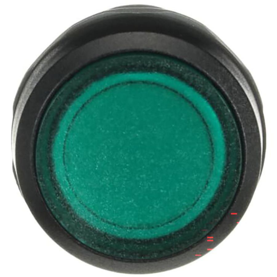 Vlakke knop compact serie terugverend 1NO groen LED 24Vac/d