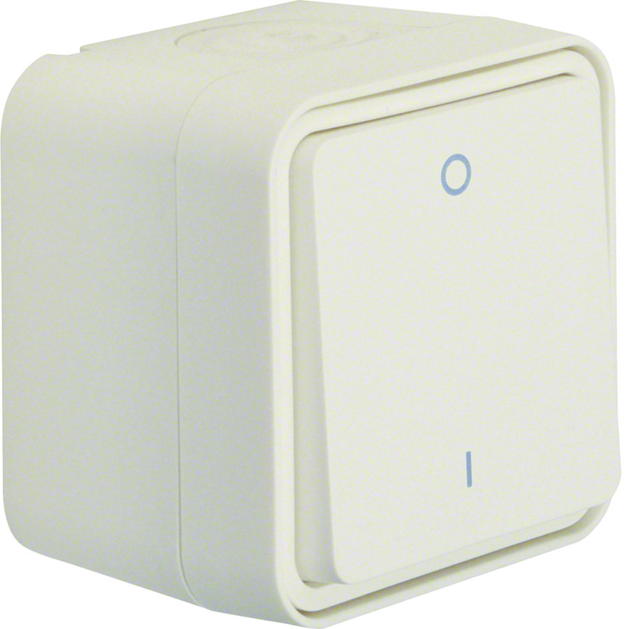 2-polige schakelaar+behuizing W.1 polarwit