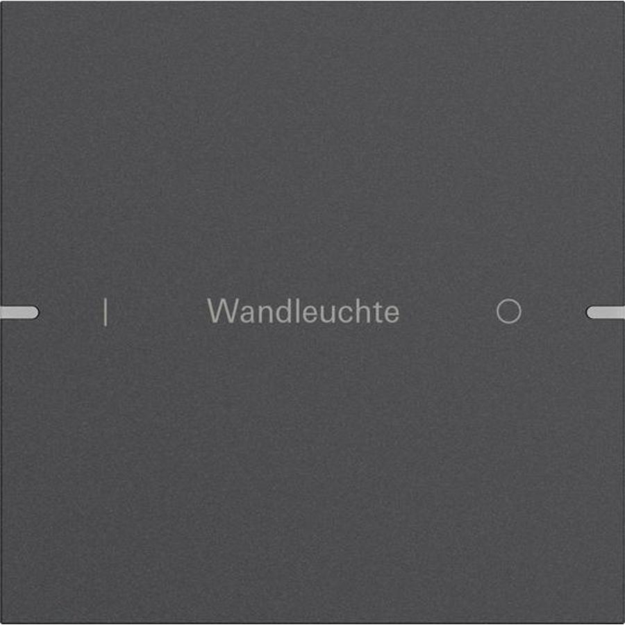 Wippenset 1-voudig indiv. tastsens.4.95 alum.antracit(gel.)
