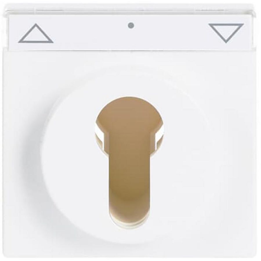 Centraalplaat inb 2733 USL-101 s-studiowit (1755 SL/PZ-84-101)