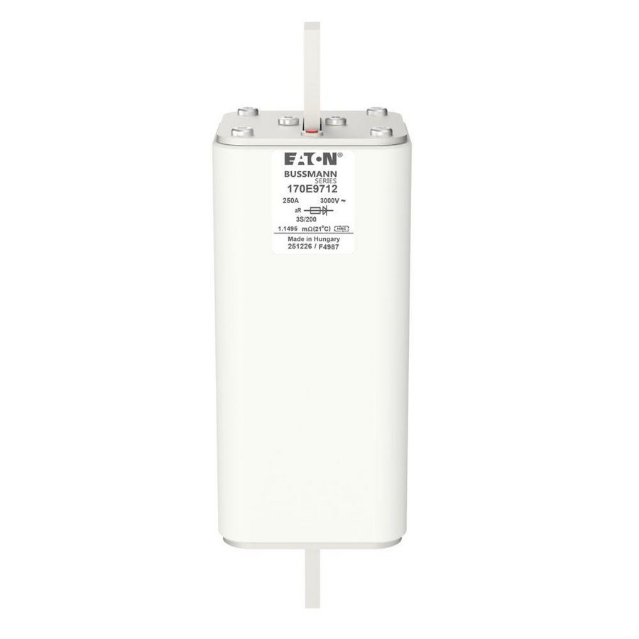 Zekering hoge snelheid 250A AC 3000V special 3 aR Vis VVE=2