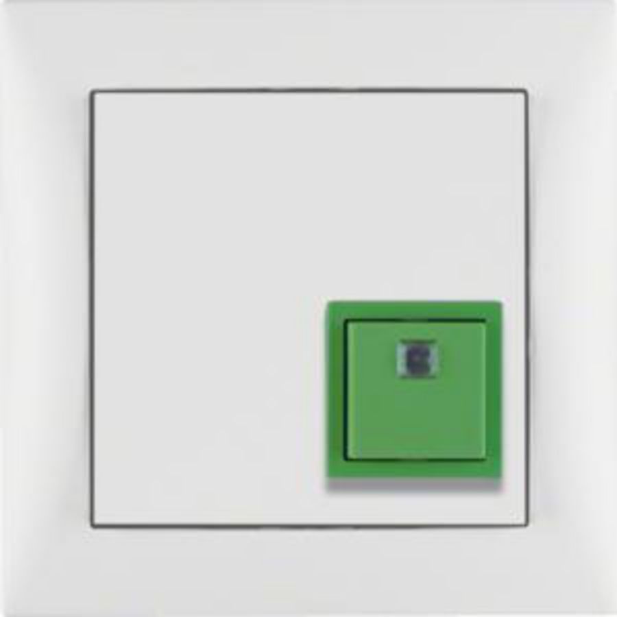 Noodoproepsysteem uitschakelknop raam berker S.1/B.3/B.7 mat