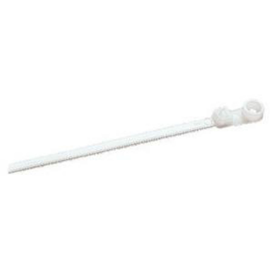 BUNDELBAND RIJGGAT 2,5x100 KLEURLOOS VVE=100