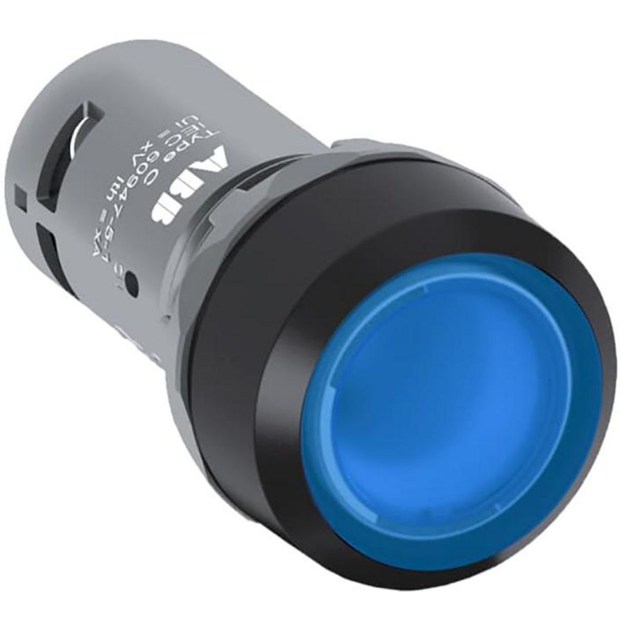 Vlakke knop terugverend 1 maak contact verlicht 220V ac/dc