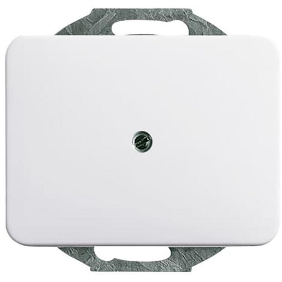 Centraalplaat blind a-albast/studiowit