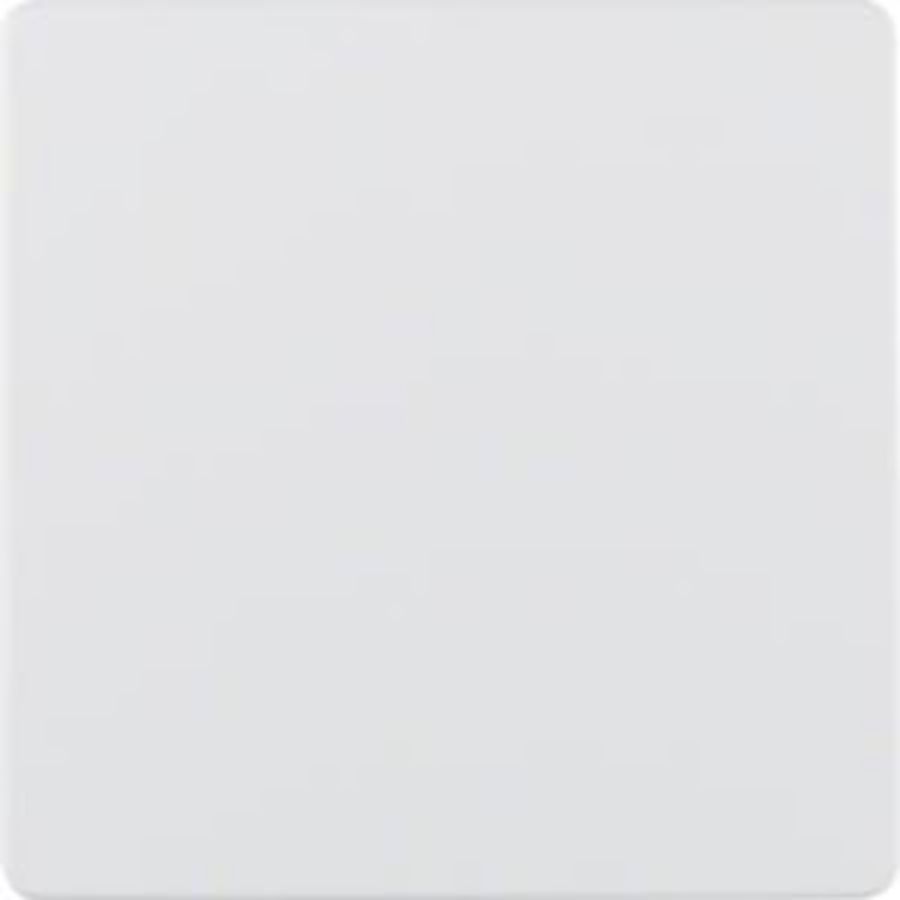 Centraalplaat voor sensorelement polarwit mat