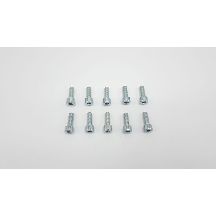 Schroef M8 x 22 (10x)