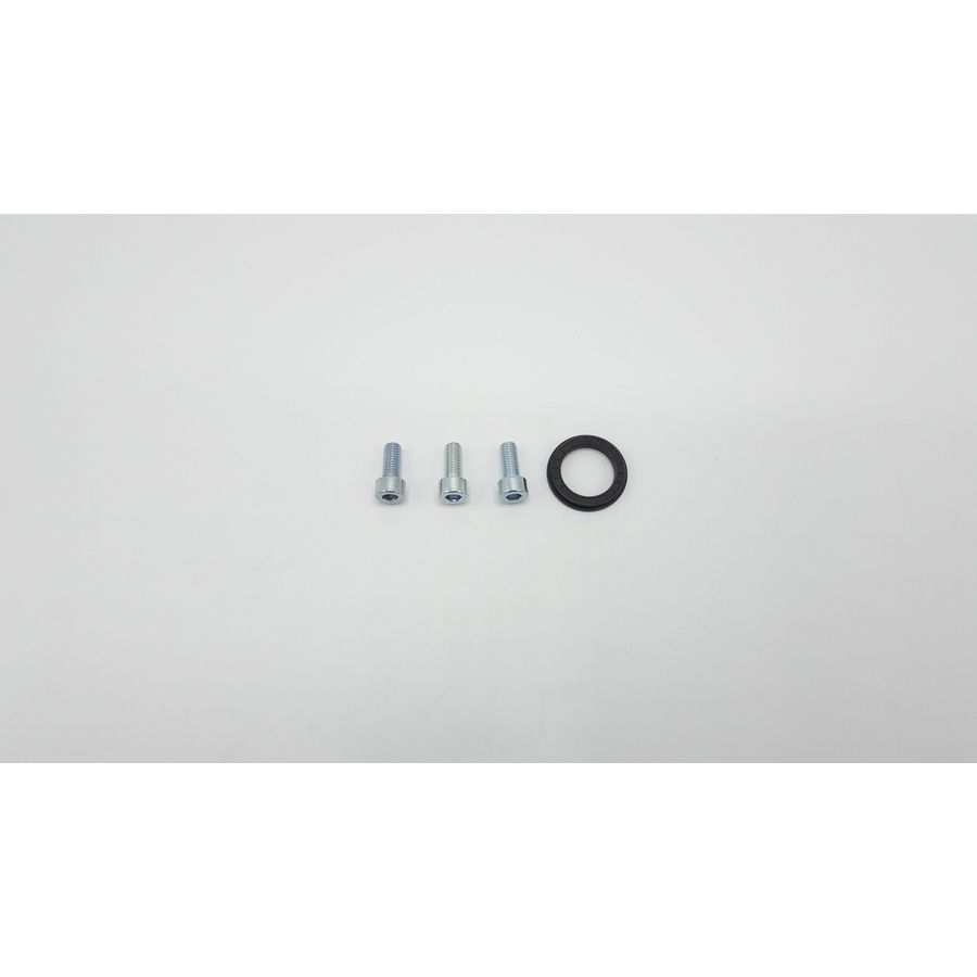 Pakking + schroef gasklep ef S102148