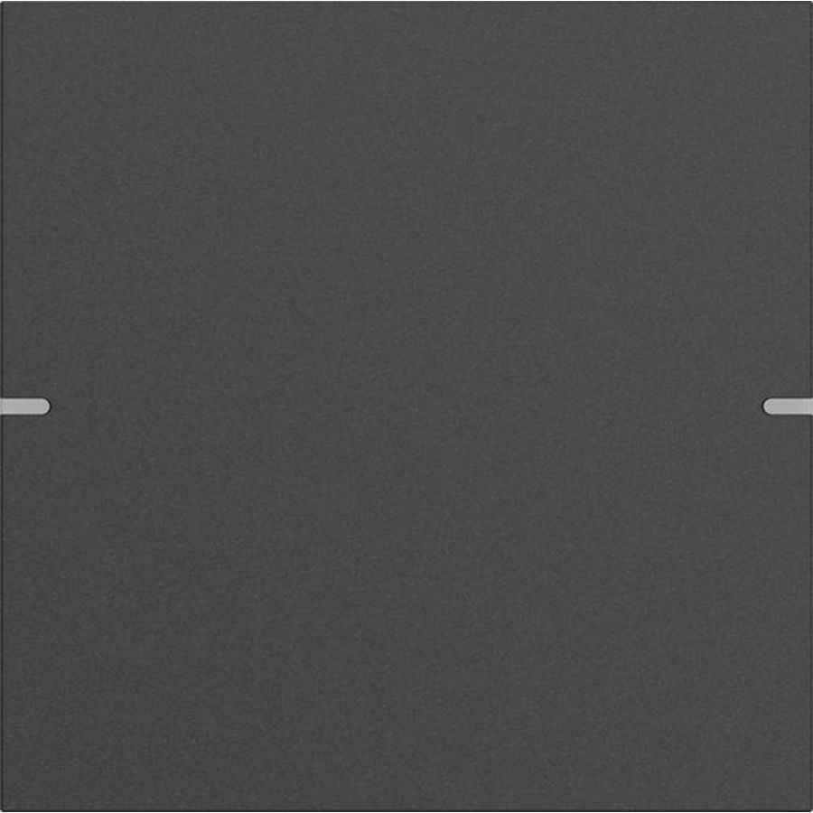 Wippenset 1-voudig tastsens.4.95 alum.antracit(gel.)