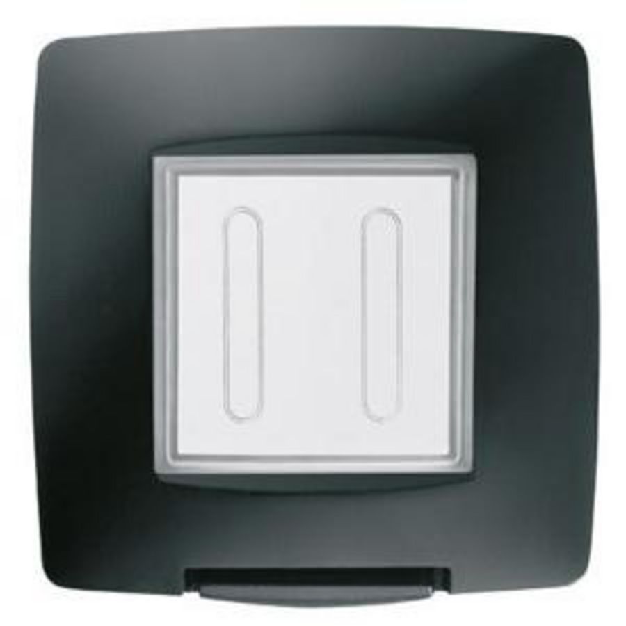 WATERDICHTE PLAAT INTERNATIONALE STANDAARD-2 GANG IP55-Z