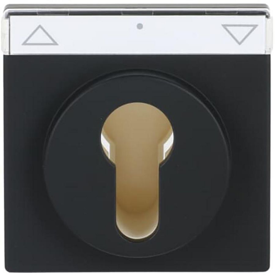 Centraalplaat slot f-matzwart (1755 SL/PZ-885-101)