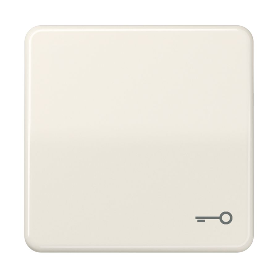 Schakelwip CD500 wit met sleutel symbool