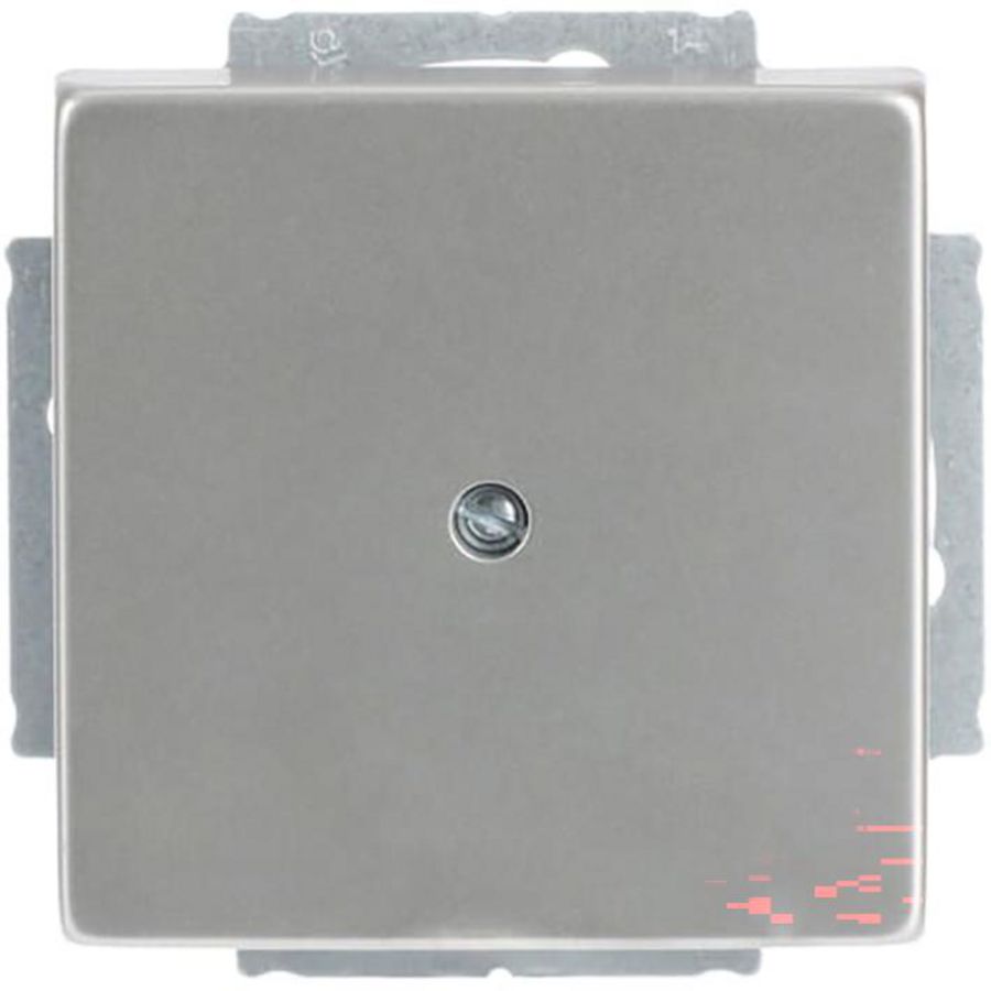 Centraalplaat blinde inb draag pure-rvs (1742-866)