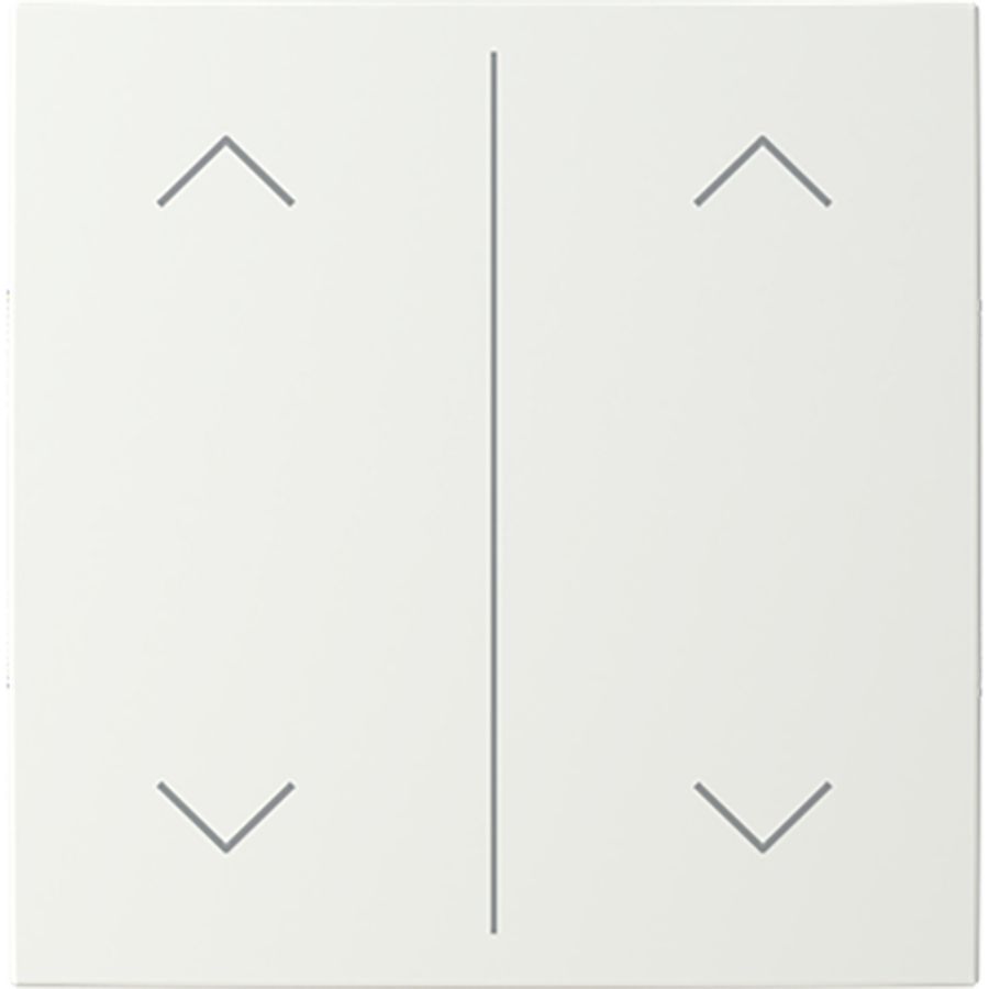 Centraalplaat afdekking 2v wip omhoog/omlaag symb B-alpinwit (LFAW/A.2.55.11-914)