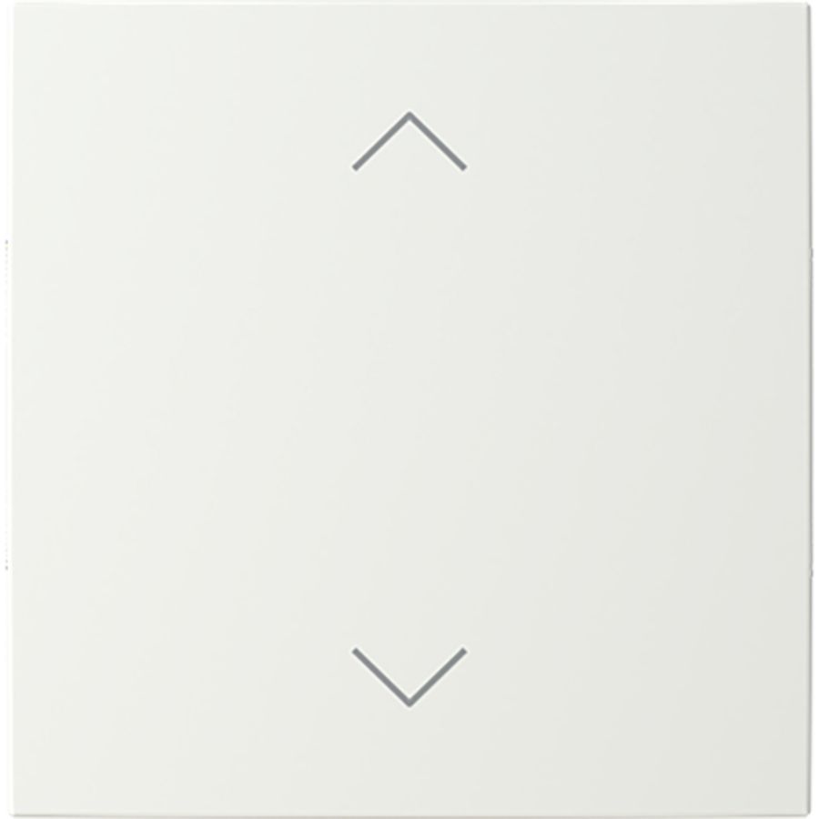 Centraalplaat afdekking 1v wip omhoog/omlaag symb B-alpinwit (LFAW/A.1.55.11-914)