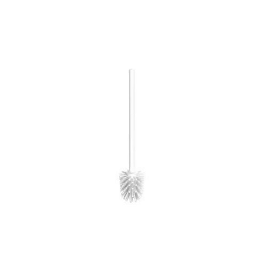 Borstelkop wit, borstelsteel wit, (S2715)
