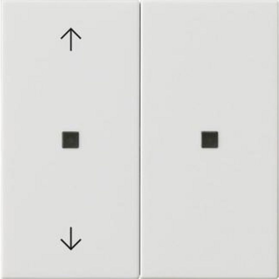 RF Multi bedieningselement-opzetstuk 2-voudig pijlen KNX System 55 zuiver wit