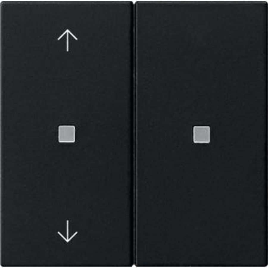 RF Multi bedieningselement-opzetstuk 2-voudig pijlen KNX System 55 zwart m