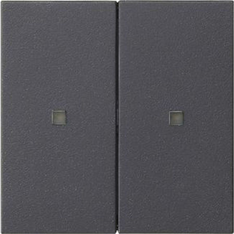 RF Multi bedieningselement-opzetstuk 2-voudig KNX System 55 antraciet