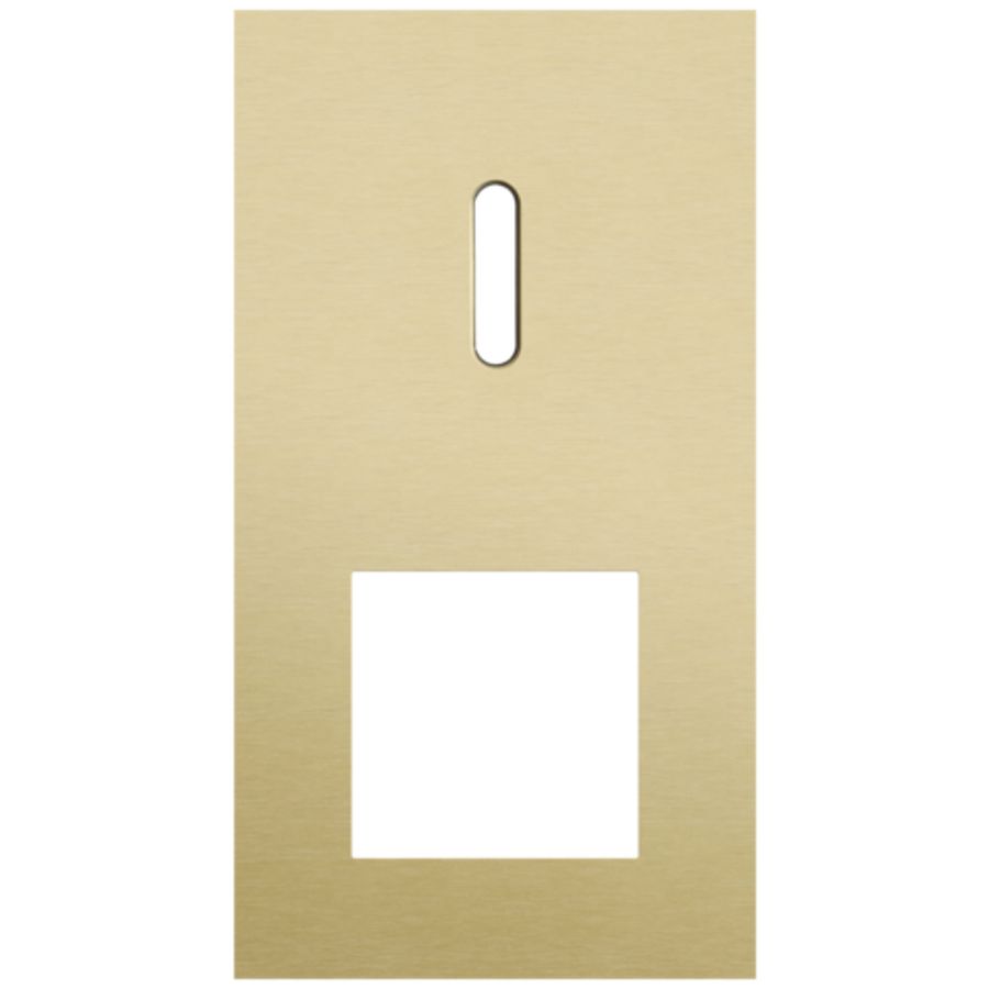 Afdekplaat 2-voud vertic. 71mm centerafst 227-56855