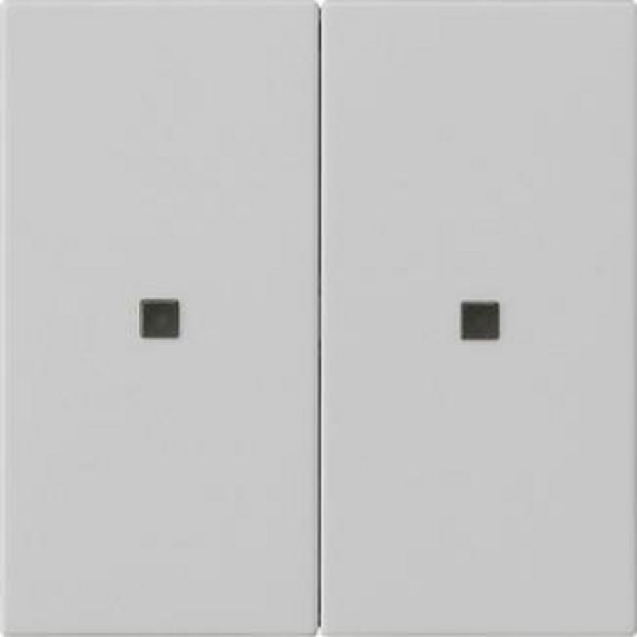 RF Multi bedieningselement-opzetstuk 2-voudig KNX System 55 grijs m