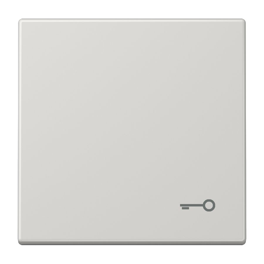 Schakelwip LS990 lichtgrijs m. symb. Sleutel