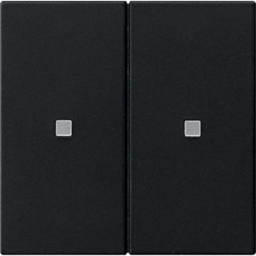 RF Multi bedieningselement-opzetstuk 2-voudig KNX System 55 zwart m