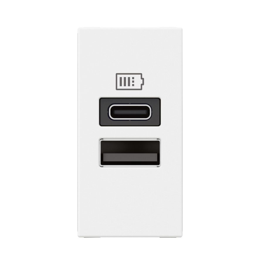 USB lader A + C 15W 1 module wit Mosaic