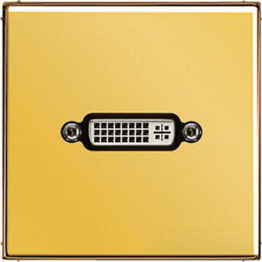 Afdekking goud gelakt voor 1xDVI LS990