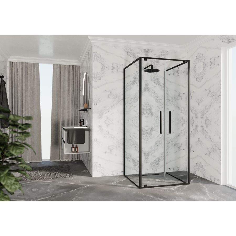 Draaideur 2-del. RIGA 2B 660-690x2000mm helder glas profiel zwart