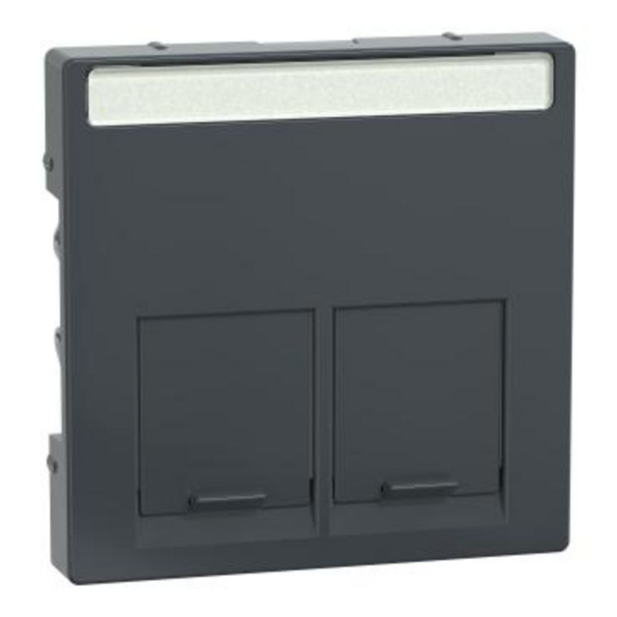 Centraalplaat SE RJ45-Connector Tweevoudig Antraciet SysM