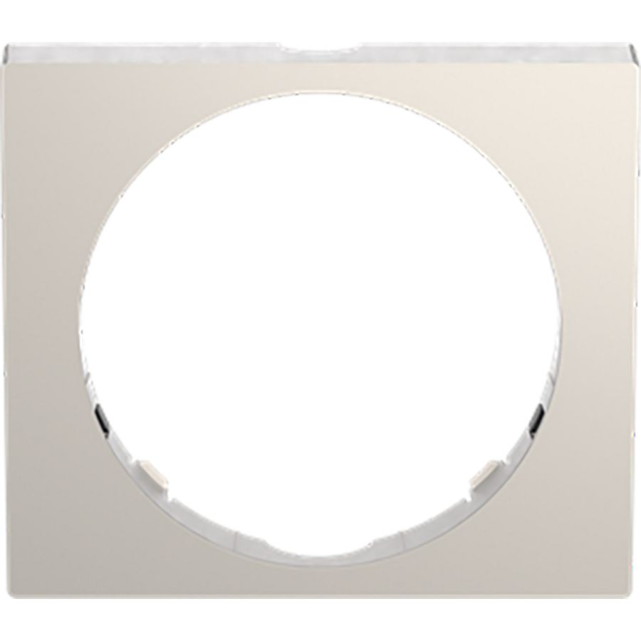 Design Busch-Wachter PRO afneembaar frame roestvrij staal (6851/DR-136)