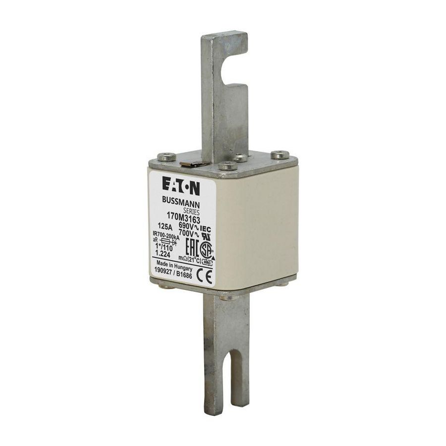 Zekering h. snelheid 125A AC 690V 200kA compact 1 45x VVE=6