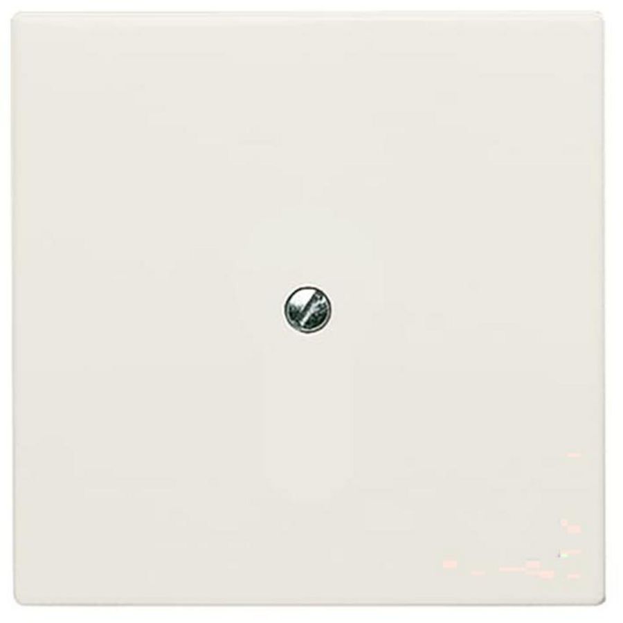 Centraalplaat blinde inb draag met draagraam IP44 A-w creme (2138-32)