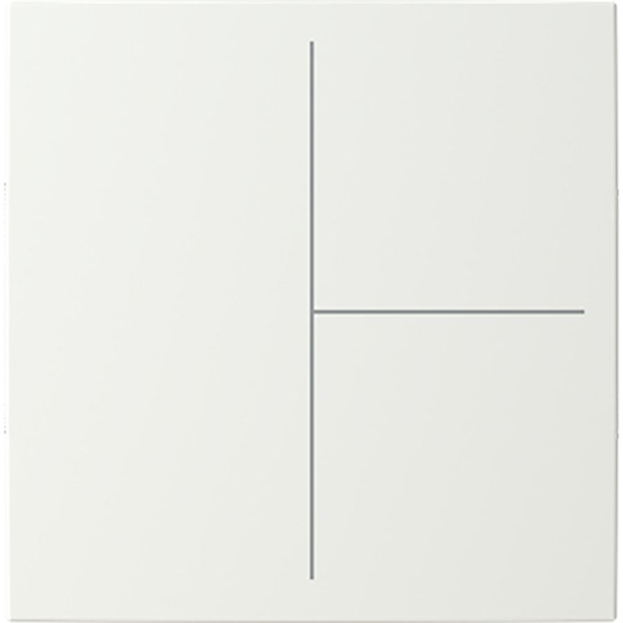 Centraalplaat afdekking 3v voor Keypad B-alpenwit (LFW/A.3.55.11-914)