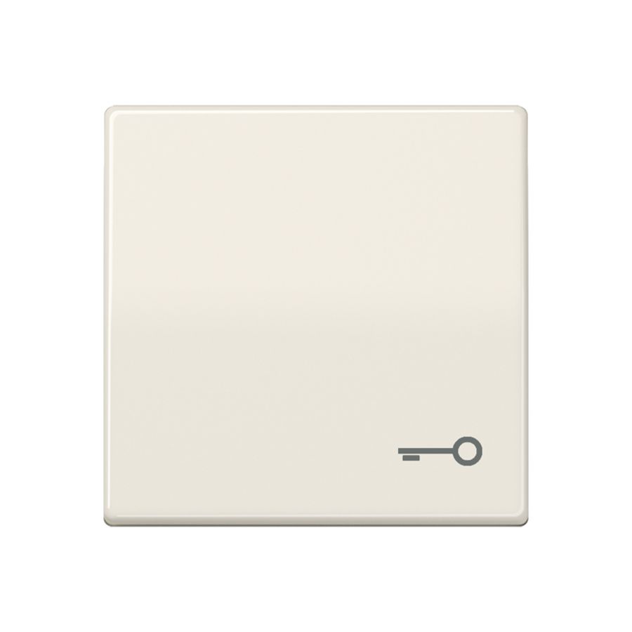 Schakelwip AS500 wit met symbool sleutel