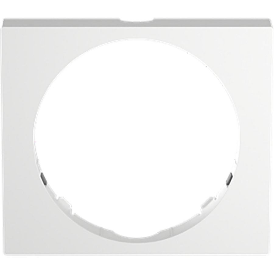 Design Busch-Wachter PRO afneembaar frame studiowit (6851/DR-134)