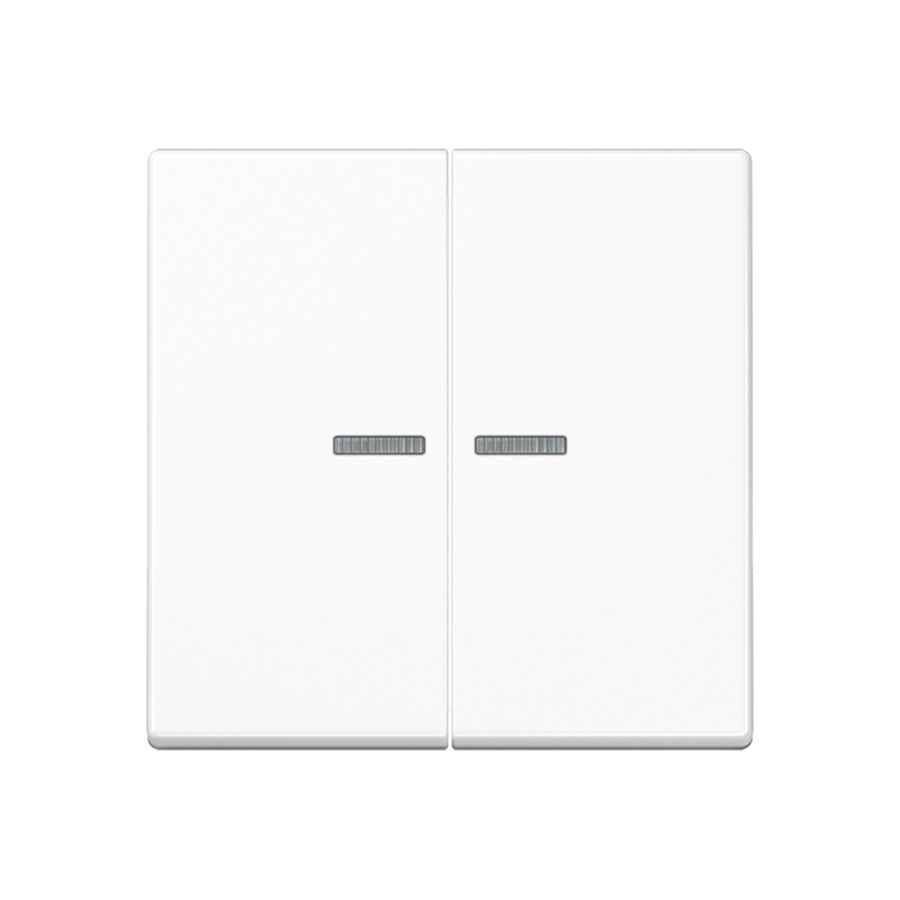 Tastafdekking 2voudig A500 sl.voudig alpwit KNX RF