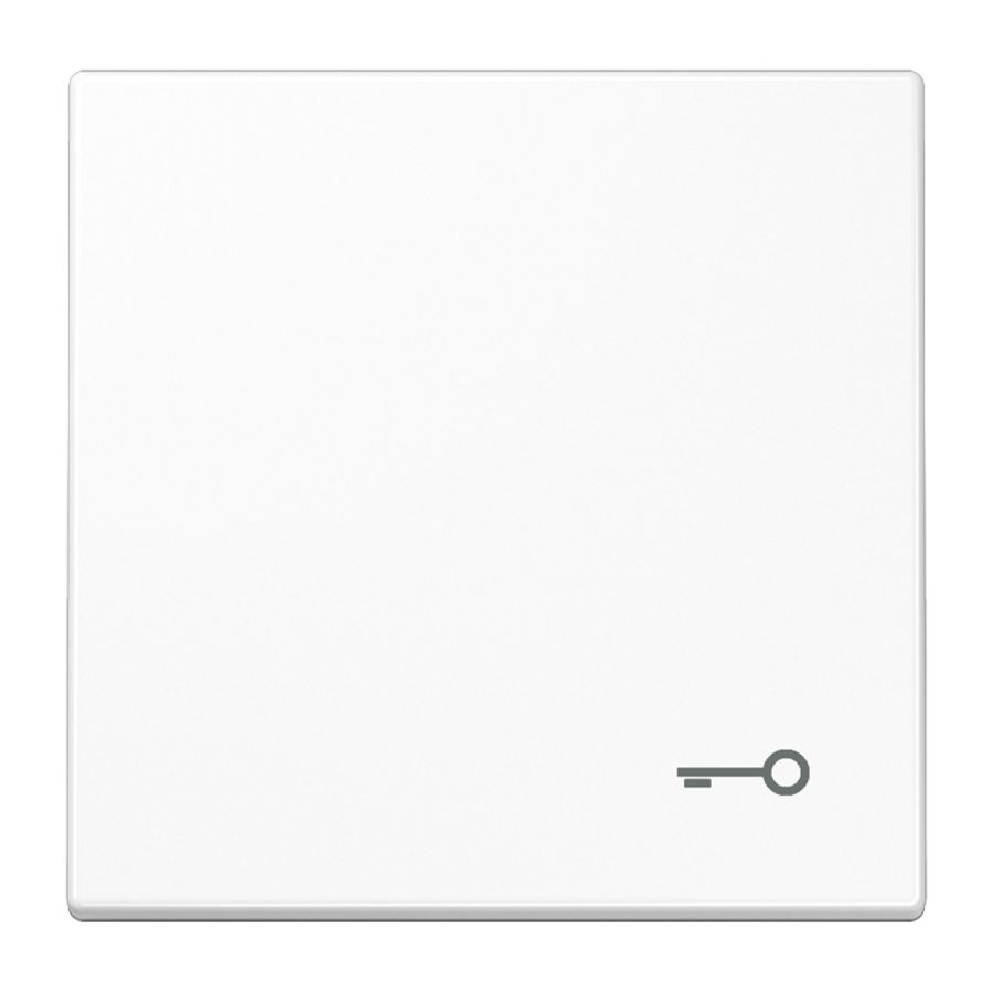 Schakelwip LS990 a.wit met symbool sleutel