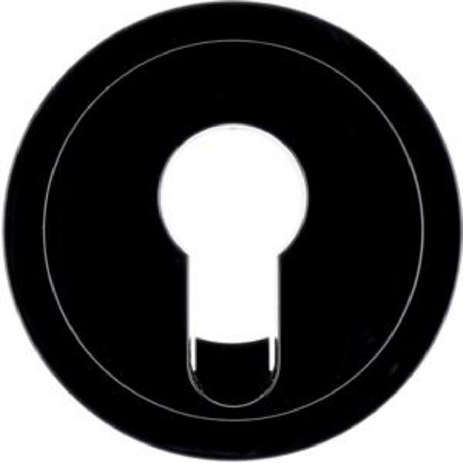 Centraald. sleutelsch/impulsdrukker berker R.1/R.3 zwart