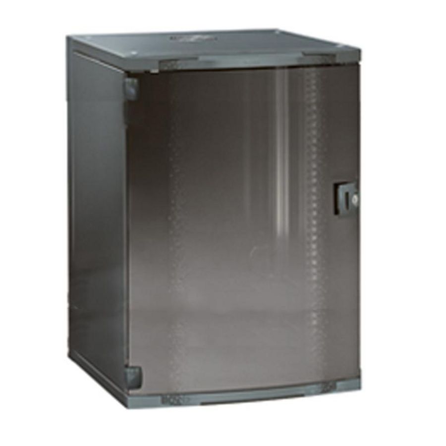 Wandkast dubbel 19inch100x60x60 21HE 19inch