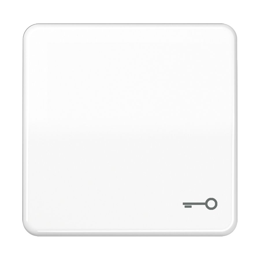 Schakelwip CD500 a.wit slagvast met sleutel