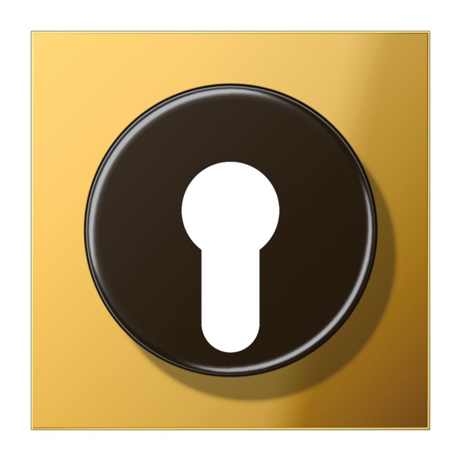 Afdekking go.kleurig voor sleutelschak. LS