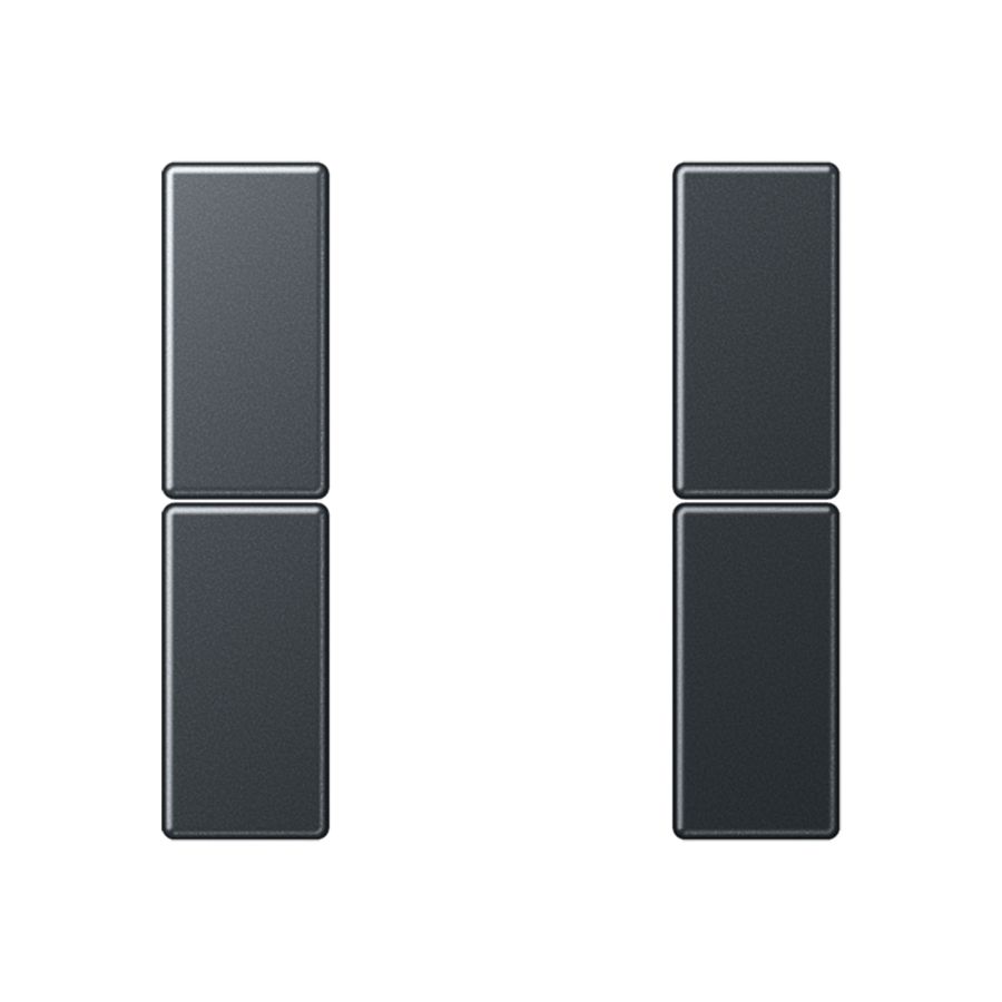 Tastafdekking compleet 2-voudig A(S)500 Antr mat KNX